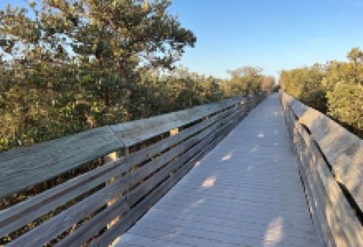 Laguna Madre Nature Trail景点图片