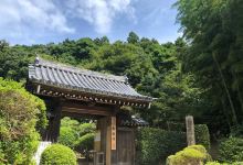 船宿寺景点图片