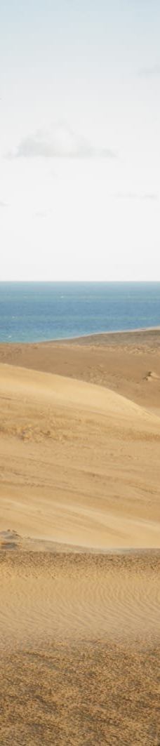 Rubjerg Knude-勒肯