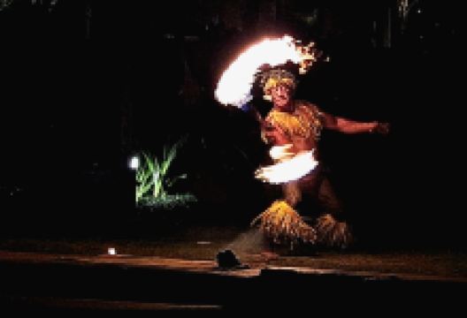 FIA FIA Polynesian Show景点图片