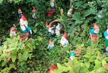 The Gnome Reserve & Wild Flower Garden景点图片