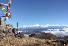 Varsey Rhododendron Sanctuary景点图片