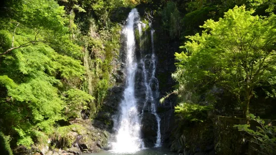 滝の観音（長滝山霊源院）
