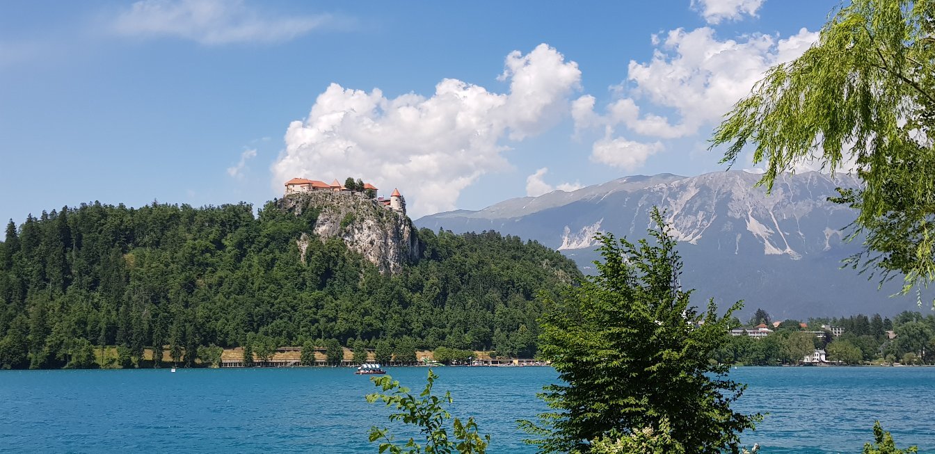 Troha Pub餐厅图片