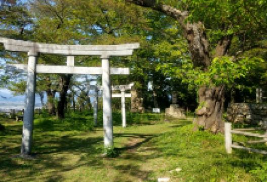 村上城景点图片