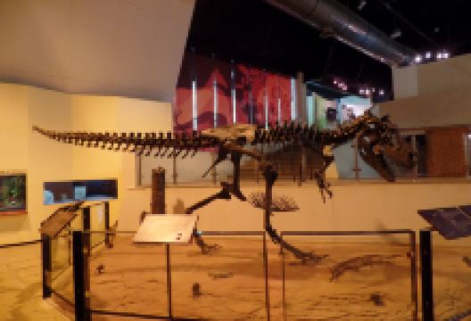 Kalasin Museum景点图片