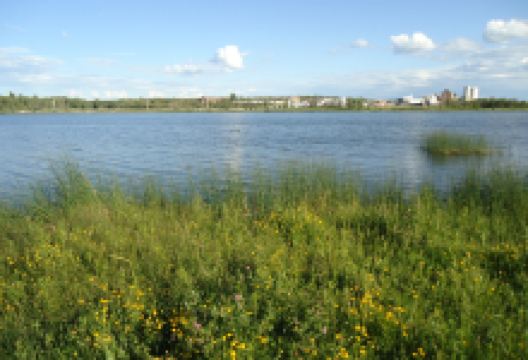 Gillies Lake Conservation Area景点图片