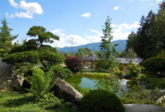 Bonsaimuseum景点图片