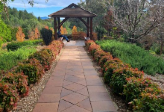 Botanical Gardens景点图片