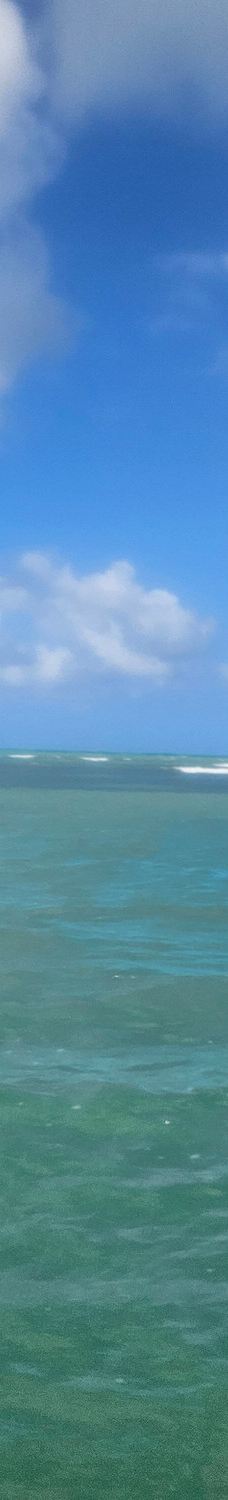 Piscinas Naturais de Pajucara-马塞约