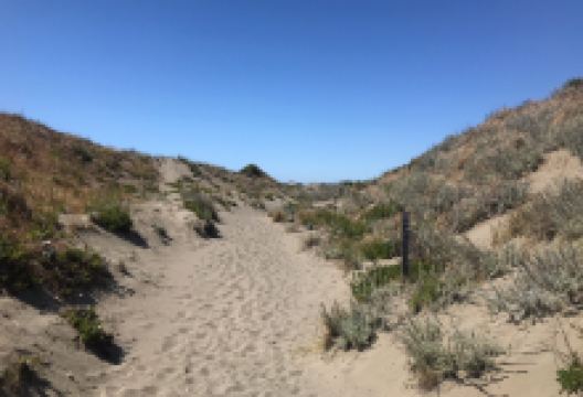 Ma-le'l Dunes Cooperative Management Area景点图片