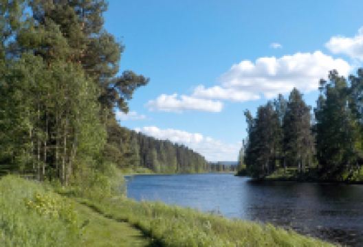 Kyrköns naturreservat景点图片
