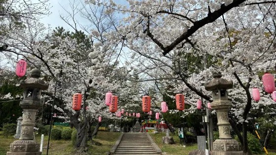 大山綠地