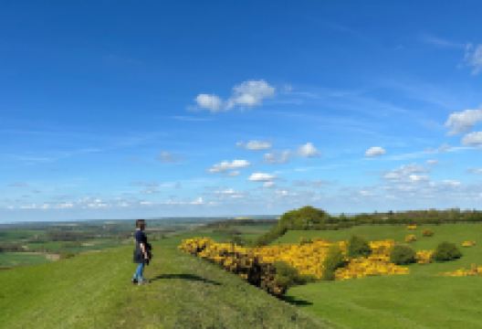 Burrough Hill - Iron Age Hillfort景点图片