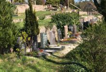 Friedhof Schönfels景点图片