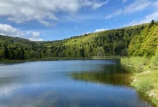 Lac de la Lauch景点图片