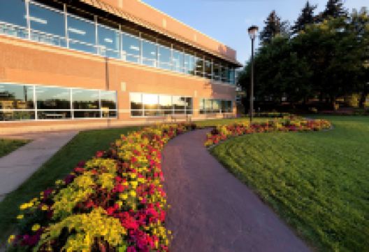 Medicine Hat Public Library景点图片