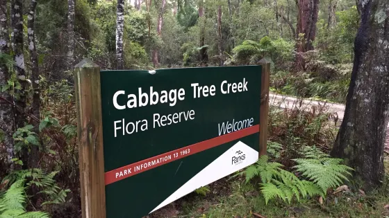 Cabbage Tree Creek Flora Reserve
