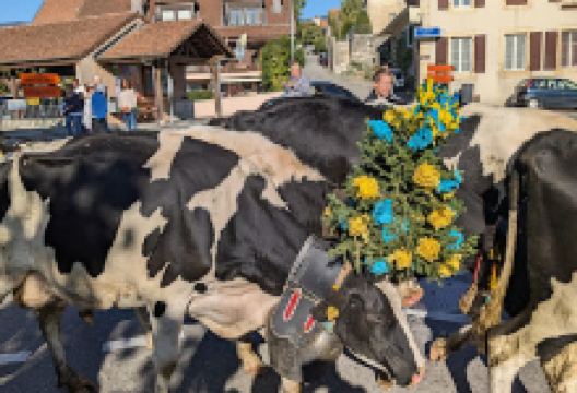 Place Aloïs Berger景点图片