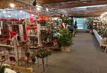 Lilliendal Plant Center - Flowers Ronne购物图片