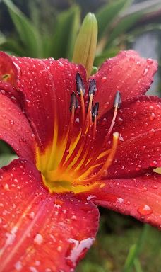 Finca Cantaros-圣维托