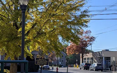 Elting Memorial Library