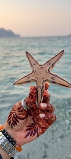 Monster roc-海塞卜