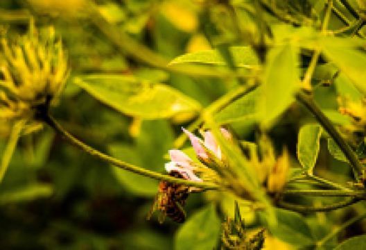 Barranco Agua De Dios景点图片