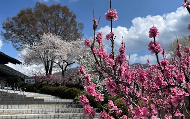 釈迦堂遺跡博物館