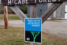 McCabe Forest Trailhead (North)景点图片