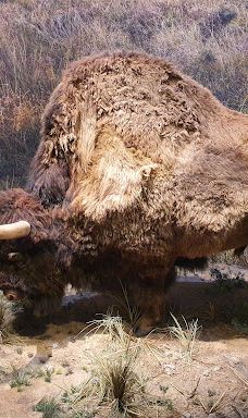 肖维岩洞-瓦隆蓬达尔克