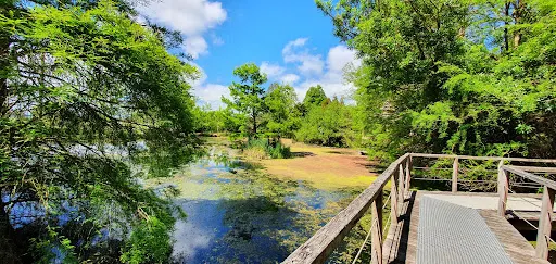 Penshurst Wetlands Public Gardens