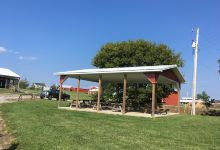 Shade Tree Orchard景点图片