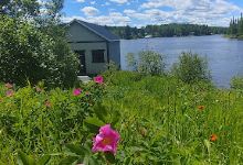 Quai Municipal Lac-Édouard景点图片