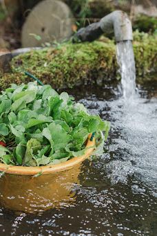 SHIMOSONO MYOUKEN SAMA mountain spring water-玖珠町