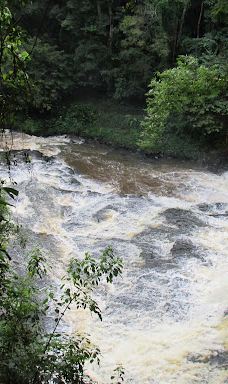 Parque dos Saltos-布罗塔斯