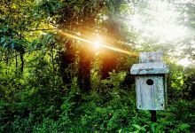 Bradley-Crusher Park景点图片