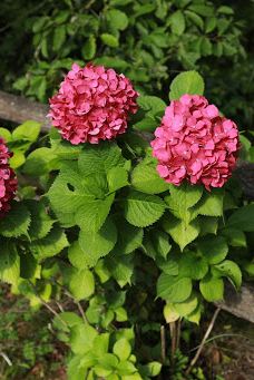 荒神谷博物館-出云