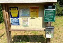 Linbrook Woodlands Conservation Area景点图片