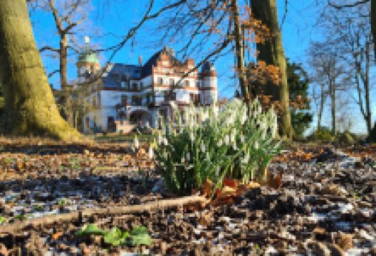 Schlosspark Wiligrad景点图片