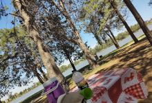 CAMPING LAS TORCAZAS景点图片