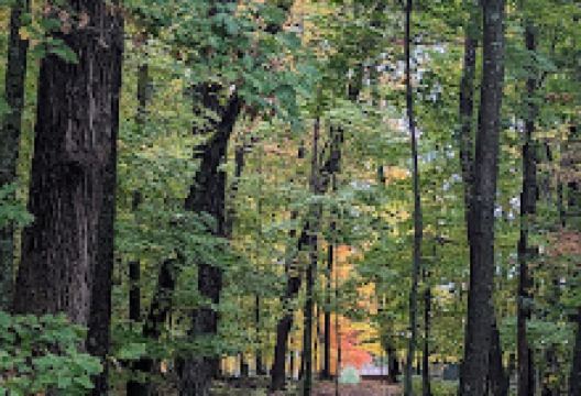 谢尔莱克景点图片