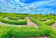 ឧទ្យានព្រហ្មចារីយ៍ សួនវង្វេង (Maze Garden)景点图片