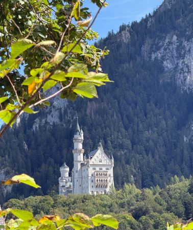 9D8N • Private Germany & Netherlands Tour - Munich · Romantic Road · Heidelberg · Cologne · Rotterdam · Amsterdam