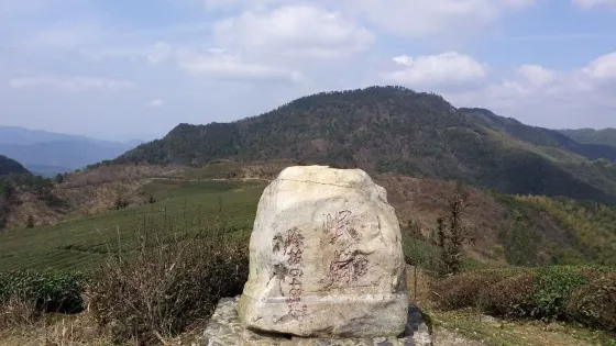 姚江源頭
