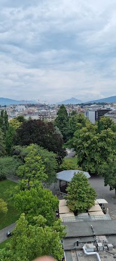Flower Clock-库里提巴