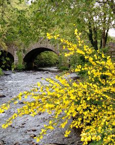 Square Meeting of the Waters-Carapina