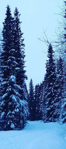 Östersunds skidstadion-厄斯特松德