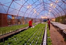 Green House Balekambang景点图片