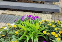 Gartencenter Geschwind购物图片